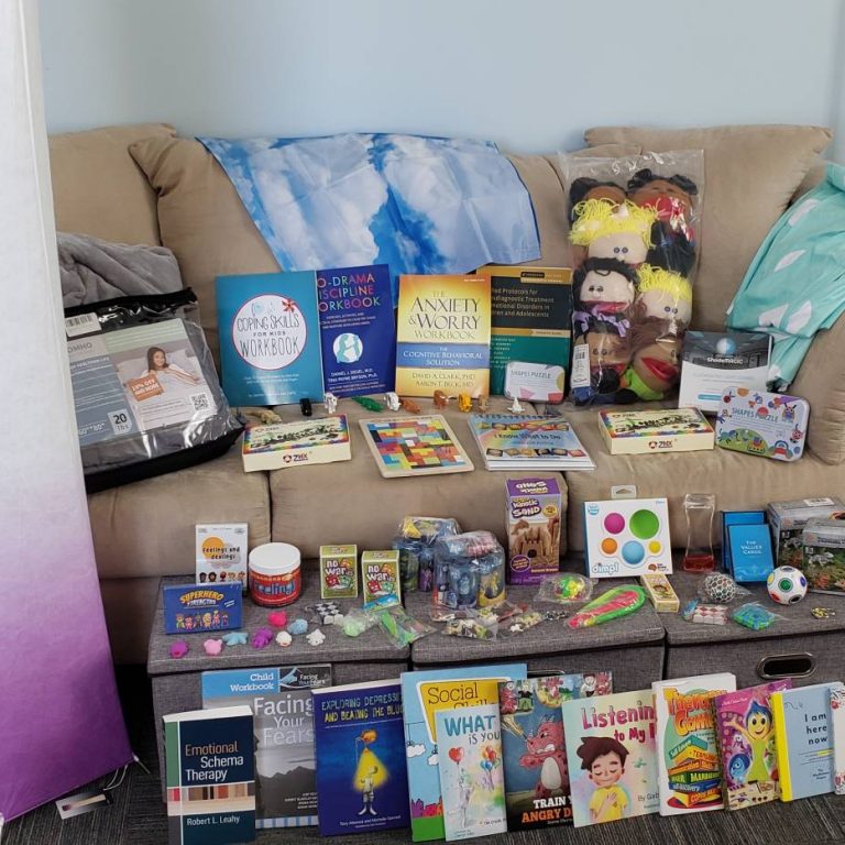 CESA 11 Donation1 Donation items on couch