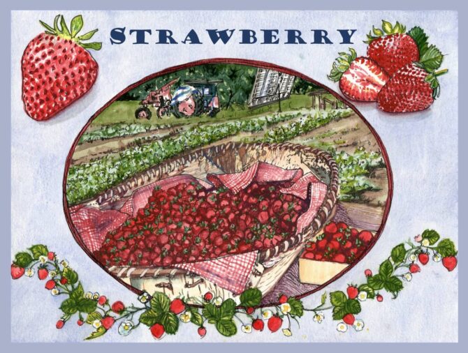12 25 WP SP 2021 FINAL Strawberry field drawing