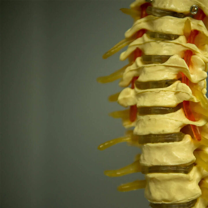 Meeting-Chronic-Pain-Challenges-1080×720 Skelton spine