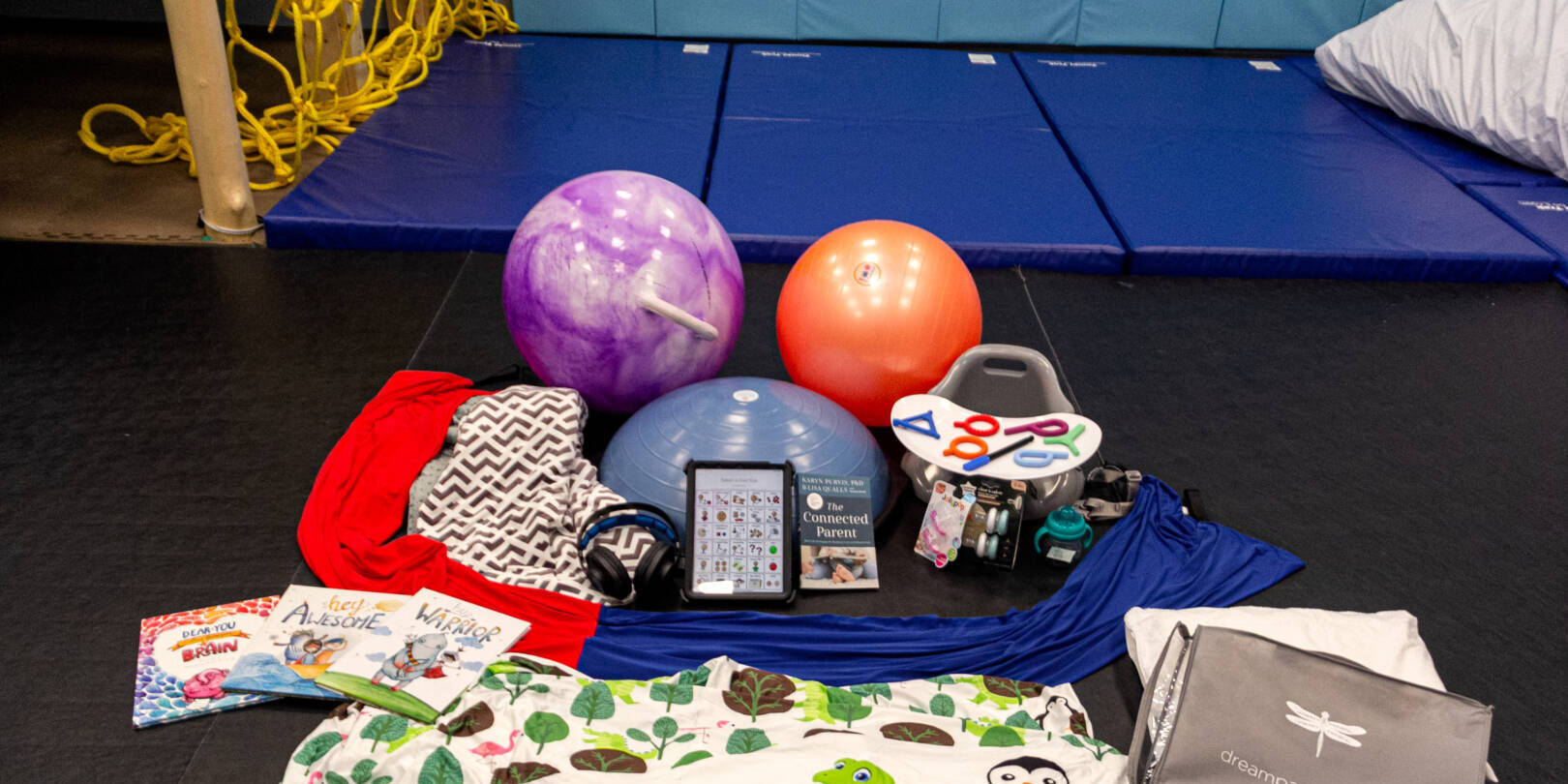 Kids books, blanket, balancing ball, exercise ball, headphones and more spread out on the floor