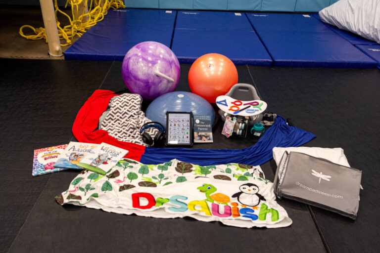 Kids books, blanket, balancing ball, exercise ball, headphones and more spread out on the floor