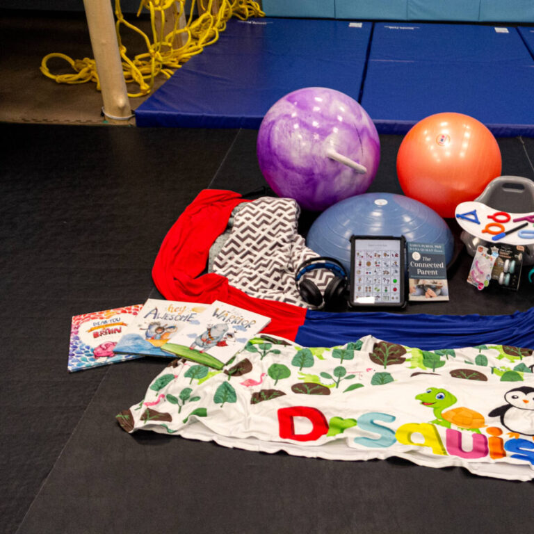 _MG_9705 Kids books, blanket, balancing ball, exercise ball, headphones and more spread out on the floor
