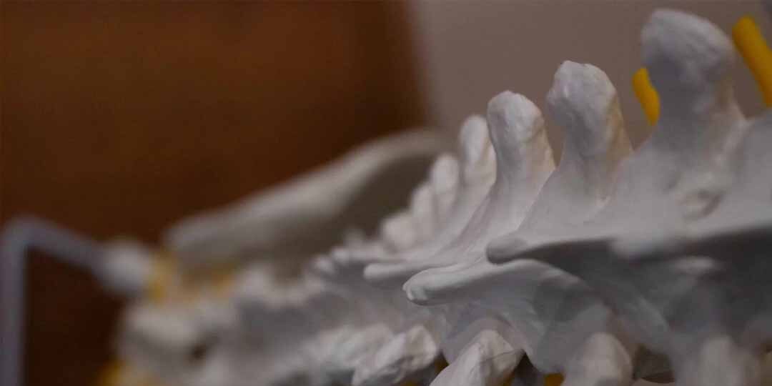 Why-See-A-Chiropractor-1080×720 Skeleton spine