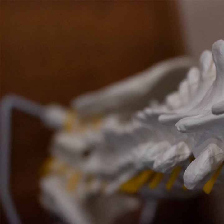 Why-See-A-Chiropractor-1080×720 Skeleton spine
